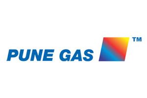 pune gas parts services